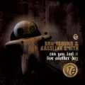 Drumsound & Bassline Smith、Bassline Smith、Drumsound - Can You Feel It