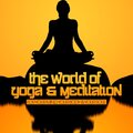 The World Of Yoga、Meditation - Ardha Salabasana
