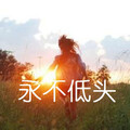 高树 - 永不低头