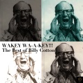 billy cotton、His Band - Lights Out
