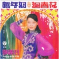 邓丽君 - 新年好