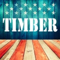 Pitbull、Kesha - Timber