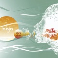 Baja - Circa Now