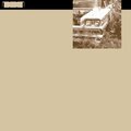 Madcap - Nocturnal Mammals II