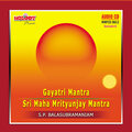 S.P.Balasubrahmanyam - SRI MAHAMRITYUNJAY MANTRA