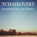 ferenc fricsay、Berliner Philharmoniker - Symphony No.4 in F Minor, Op. 36: Andante Sostenuto