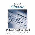 Mostly Mozart Festival Orchestra、Alberto Lizzio - II. Andante
