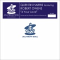 Quentin Harris、Robert Owens - 4 Your Love (Ain't Nuthin But a House Party Mix)