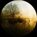 Knobs - Dream at Night