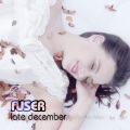 Fuser - Late December
