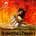 Cee ElAssaad、Heidi Martin、Zulus At Work - Beautiful