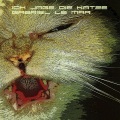 Gabriel le Mar - Ich jage die Katze