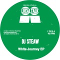 DJ Steaw - I Want