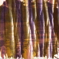 Stefanissimo