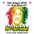 The Angry Kids、Bob Marley - Mr. Brown (Double S Raggamix)
