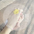 寐加岛、颜妹 - 钟情 (Remix)