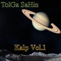 Tolga Sahin - Su
