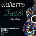 Guitar Gaudí