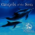 Dan Gibson - The Light of Baja