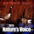Nature Spa - Quiet Evening Ambience for Deep Sleep and Relaxation