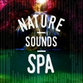 Nature Spa - Mossland Birdhide