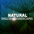Soundscapes! - Running Waters
