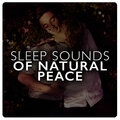 Sleep Sounds of Natural Peace