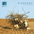 Fluxion - DPoles