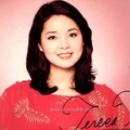 邓丽君 - 别再来找我