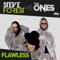the ones、DJ Steve Forest - Flawless