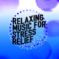 Stress Relief - Colours of the Forest