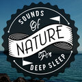 Sounds of Nature for Deep Sleep and Relaxation - Brook Bird Song