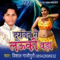 Vishal Gazipuri、Indu Sonali - Bina Re Gawanwa Piyawa