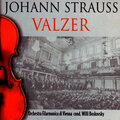 Johann Strauss - Sul Bel Danubio Blu