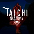 Tai Chi And Qigong - Starsilver