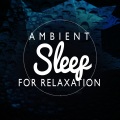 Ambient Music Sleep Therapy - Core