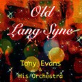 Tony Evans and His Orchestra - When You Say Nothing at All