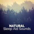 Deep Sleep Nature Sounds - Water Wheel