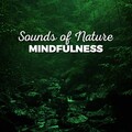 Peaceful Natural Soundscapes