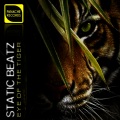 Static Beatz、Survivor - Eye of the Tiger (EDM Festival Mix)(Remix)
