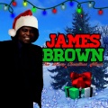 The Merry Christmas Album (Digitally Remastered)