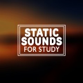 Sounds for Study - White Noise: Spring Rain
