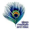 Sleep Meditate Relax - Imagination