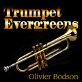 Olivier Bodson - His Eyes, Her Eyes