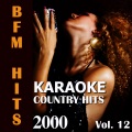 Karaoke: Country Hits 2000, Vol. 12