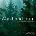 Woodland Rain