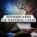 Soundscapes! - River Mouth