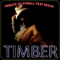 Saturday Mix Dj. - Timber (Karaoke Version)