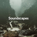 Soundscapes! - Morning Bird Hide