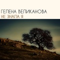 Гелена Великанова - Не знала я